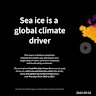 How sea ice affects the global ocean climate