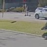 A teenage girl is fighting for life in hospital tonight -after being knocked off her e-scooter while crossing Wanneroo Road.