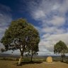 Ararat, Victoria: Travel guide and things to do