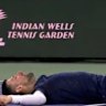 Djokovic wins 'the best point you're ever going to see'
