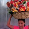 In bloom ... a woman carries a basket of flowers for sale in San Salvador, the capital of El Salvador.