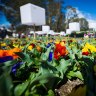 How Floriade managed to blow its budget by $1.2 million last year