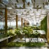 Changi Airport, Singapore: Inside the world's best airport