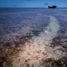 Is this the end of the Great Barrier Reef?