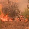 Bushfires terrify Queensland residents as evacuations ordered