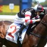 New sprint star Lord Of The Sky on a mission to Oakleigh Plate
