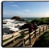 Phillip Island, Victoria: Travel guide and things to do