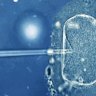 The research that could finally improve IVF's success rate