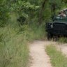 Tracking game in Sabi Sand Game Reserve is as tense as it is exhilarating. 