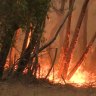 South Australians warned to brace for extreme fire conditions