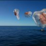 NASA duo emerge after dramatic splashdown