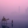 India, Agra, boys walking with camel in front of Taj Mahal. 