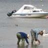 Anglers search for bait on the edge of Wilsons Promontory N.P.