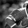 Canberra Raiders 1989 grand final: looking back at the 'greatest ever' win