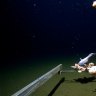 Deepest fish ever recorded on camera