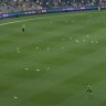 Seagulls interrupt the flow of play and save James Vince from dismissal against the Melbourne Stars.