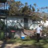 Tree falls on house on NSW Central Coast