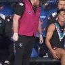 Port Adelaide captain Connor Rozee went down with a hamstring complaint just minutes after Sam Powell-Pepper's knee injury.