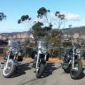 NSW Road Trip on a rented Harley-Davidson