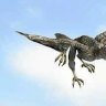 'First bird' falls from ancient perch