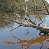 Legislation to remove powers from Swan River Trust introduced    