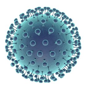 A computer illustration showing the protein spikes in the Zika virus. 
