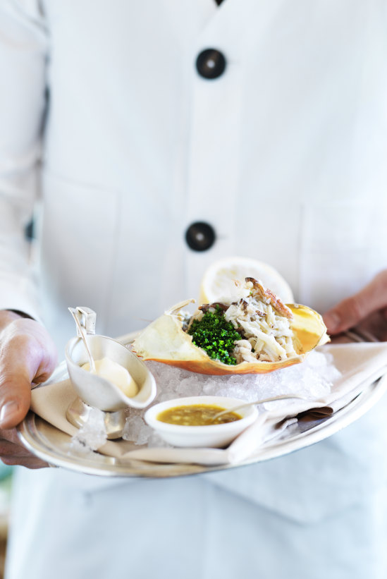 Hand-picked mud crab.