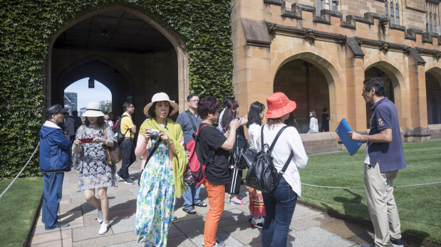 A tour guide takes a group of Chinese people for a tour of Sydney University in February.