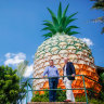 The Big Pineapple 're-imagined' with new food hubs and adventure parks