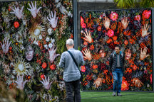 Christian Thompson’s flower walls at the old Melbourne Gaol, as part of Photo 2022.