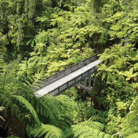 The Bridge to Nowhere in the Whanganui National Park.