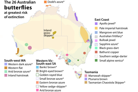 Butterflies at greatest risk of extinction.