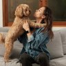 ‘Humanisation of pets’: Inside the $4b-a-year pet vitamins boom