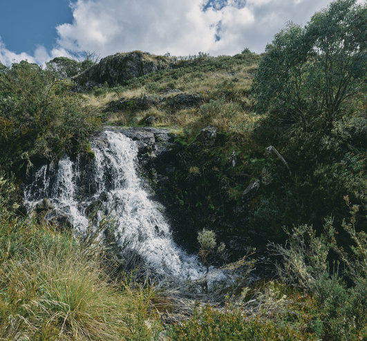 The waterfall on the creek that so 
far has been a barrier to invasive trout.