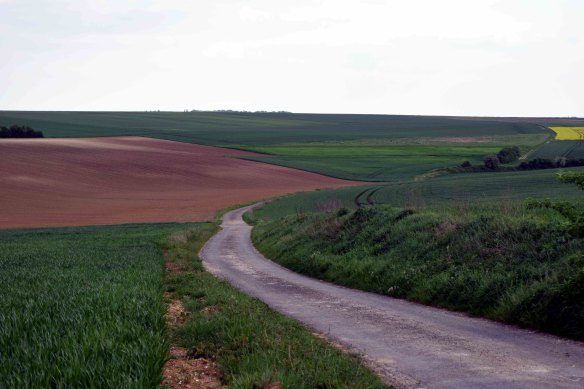 Stephen Ellery was killed at Sausage Gully, adjacent to the Lochnagar Crater, near Pozieres. His grave was destroyed by German shelling in 1918 and he is memorialised on the wall of the Villers- Brettenoux Memorial.