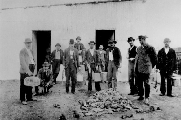 Officials and health workers inspect a mound of dead rats during the bubonic plague of 1900-02.