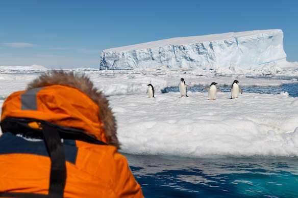 If penguins are more your speed, sail south. 