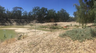 The Darling River south of Pooncarie on the Smith property, Balcatherine Station.
