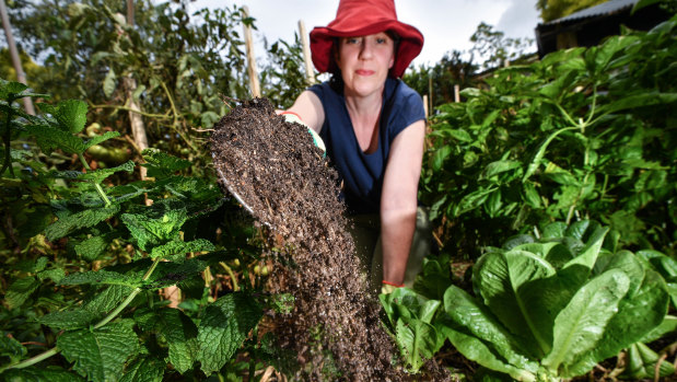 Associate Professor Suzie Reichman's research found one in five veggie patches in Melbourne have levels of lead that exceed health warnings.
