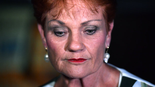 Senator Hanson said Labor ran an effective scare campaign against One Nation.