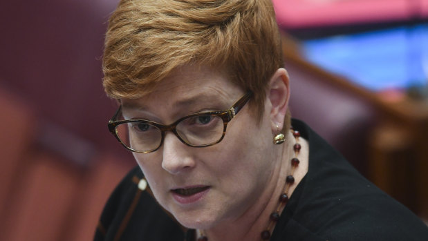 Defence Minister Marise Payne has defended Australia's funding of abortion services.
