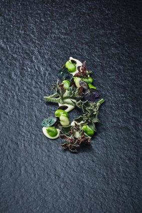 Peter Gilmore's Salad of Salty Ice Plant with broad beans.