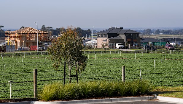 Burglars target new homes with empty blocks for neighbours.