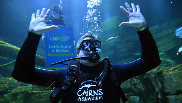 Queensland Opposition Leader Tim Nicholls scuba-dives in a large fish tank at the Cairns Aquarium.