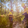 Alcoa has mined WA’s jarrah forest for 61 years.