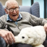 Smiles all round as robotic pets calm and delight people living with dementia