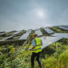 Worker checking solar panels