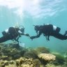 Coral bleaching recorded along WA coast as heat resilient reef projects start up