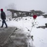 A visitor walks past a gas chamber and crematorium, where someone has left a rose, at Auschwitz. 