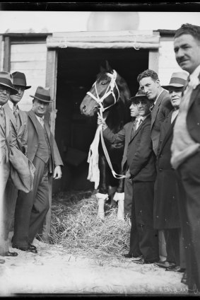 Racehorse Winooka standing in a doorway flanked by eight men prior to departure for America, New South Wales, 8 May 1933,